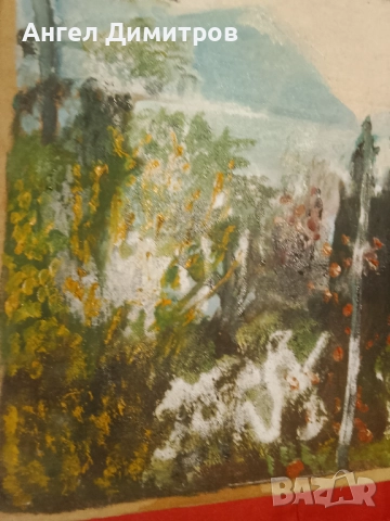 Маслена картина платно , снимка 7 - Картини - 51713225