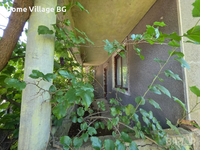 Просторна къща за ремонт или събаряне, обл.Силистра, снимка 6 - Къщи - 53231264