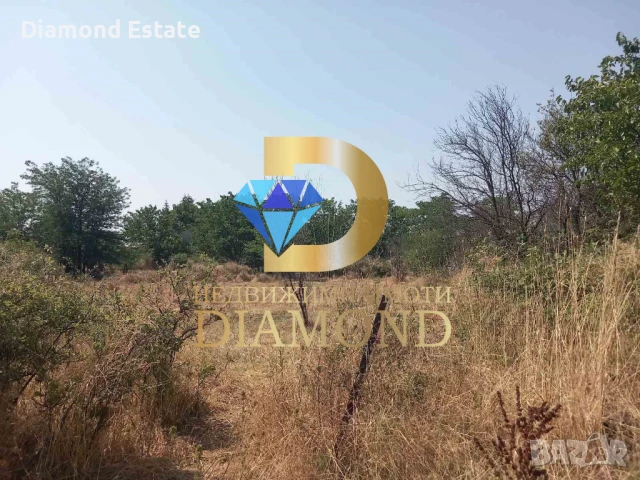 Парцел в село Александрово, обл. Хасково, снимка 4 - Парцели - 50937019