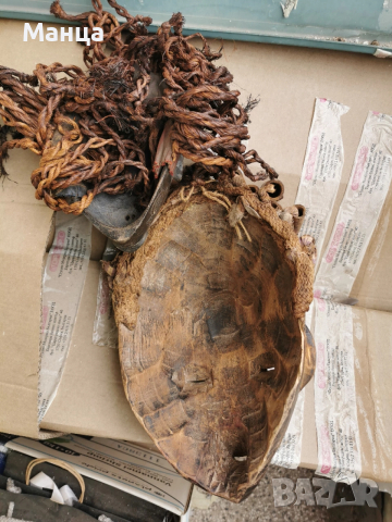 Африкански маски Чокве, снимка 4 - Антикварни и старинни предмети - 53899941
