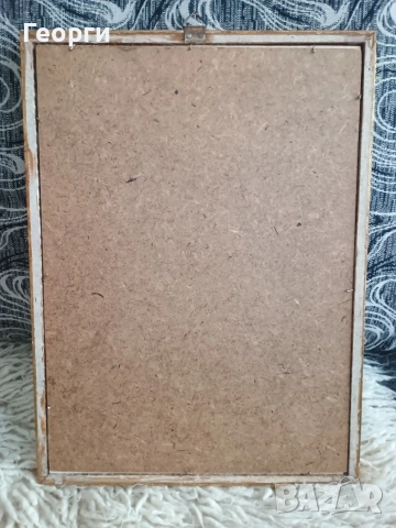 Картина офорт-42, снимка 5 - Антикварни и старинни предмети - 53768719