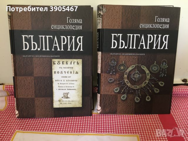 Голяма енциклопедия БЪЛГАРИЯ 9,10 том, снимка 1 - Енциклопедии, справочници - 46187321