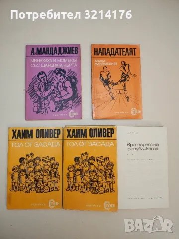 Магьосникът. Биографично-епична поема за Пламен Гетов – Илко Иларионов, снимка 2 - Специализирана литература - 50242003