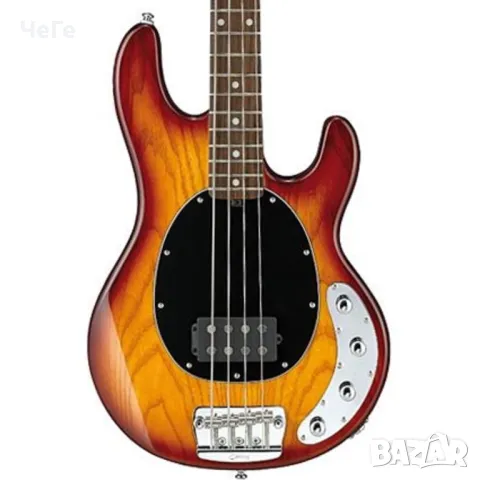 търся Sterling/Vintage Stingray bass или китара, снимка 1 - Китари - 49185686