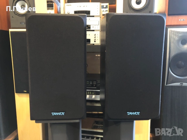 TANNOY E11 Тонколони, снимка 2 - Тонколони - 53947728