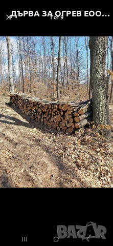 Експресни поръчки до дома Работим всеки ден За регион Пловдив и Пазарджик 105лв  Тел0895977422 