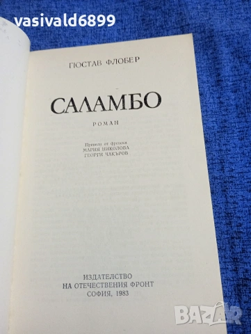 Гюстав Флобер - Саламбо, снимка 4 - Художествена литература - 53911728