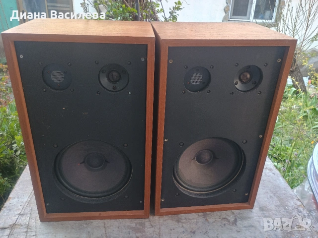 Vintage Тонколони Isophon 12" AlNiCo – За DIY проекти / Студийни монитори