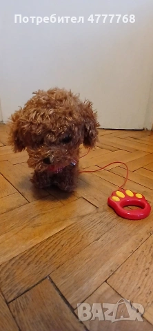 Ново интерактивно куче с каишка