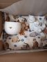 Кутия с подарък коте\сувенир, снимка 1 - Други стоки за дома - 45454211