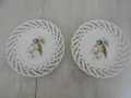 № 8255 Две колекционерски порцеланови чинии / пана – TERRA , снимка 1