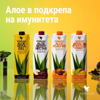 Aloe Vera Gel Гел от алое вера, снимка 2 - Хранителни добавки - 44954283