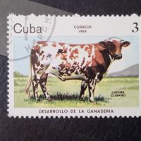 1984 г. Говеда. Куба, снимка 3 - Филателия - 45431436