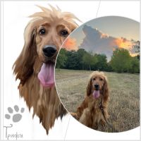 Дигитални портрети на домашни любимци, снимка 4 - За кучета - 45545698
