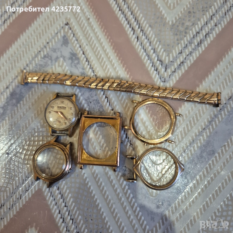 Швейцарски за скраб , снимка 1