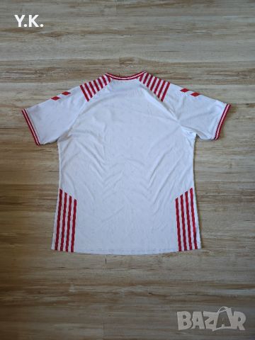 Оригинална мъжка тениска Hummel x Denmark National Football Team / Season 22 (Special), снимка 3 - Тениски - 46755080