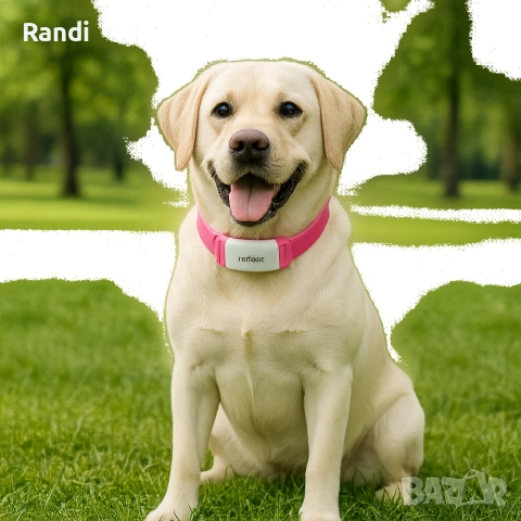 Тракер за домашен любимец - GPS локатор, снимка 7 - За кучета - 53224192