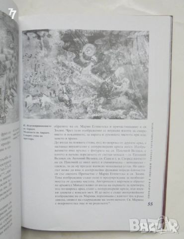 Книга Манастирската стенна живопис в Карлуково - Васил Пандурски 2002 г., снимка 3 - Други - 45707112