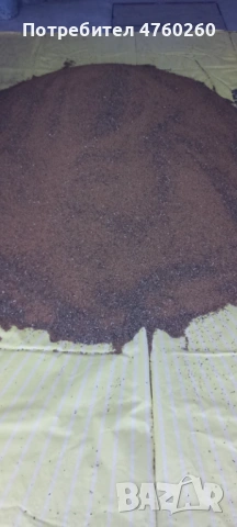 Продавам люцерново семе , снимка 3 - Сортови семена и луковици - 53772801