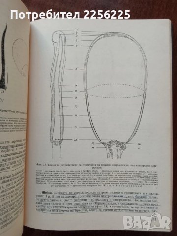 Биология на размножаването и изкуствено осеменяване при селскостопанските животни , снимка 3 - Специализирана литература - 50732160