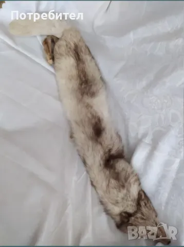 Яка от цяла лисица, снимка 8 - Шалове - 49942193