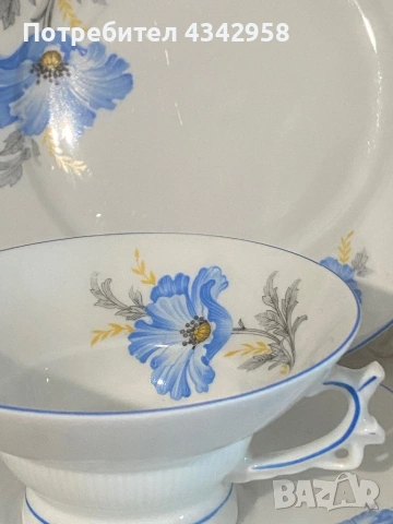 Винтидж порцеланов комплект Plankenhammer Floss Bavaria. (1930-те г.), снимка 5 - Антикварни и старинни предмети - 53821594