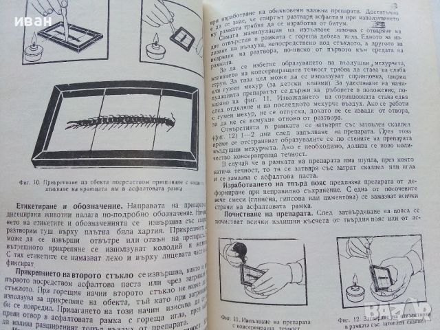 Изработване на саморъчни пособия по биология - Т.Митева - 1967г., снимка 4 - Специализирана литература - 46263937