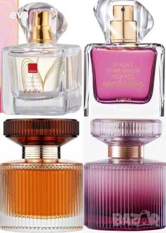 TTA Amour, TTA Everlasting, Amber Elixir, Amber Elixir Mystery