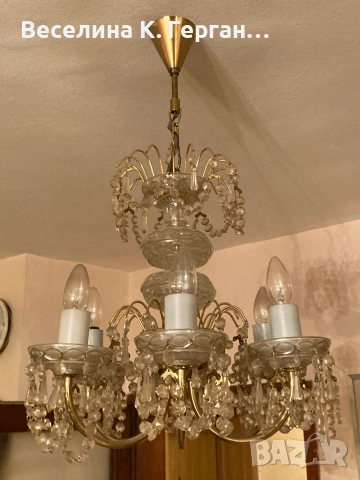 Полилей, снимка 4 - Полилеи - 53763617