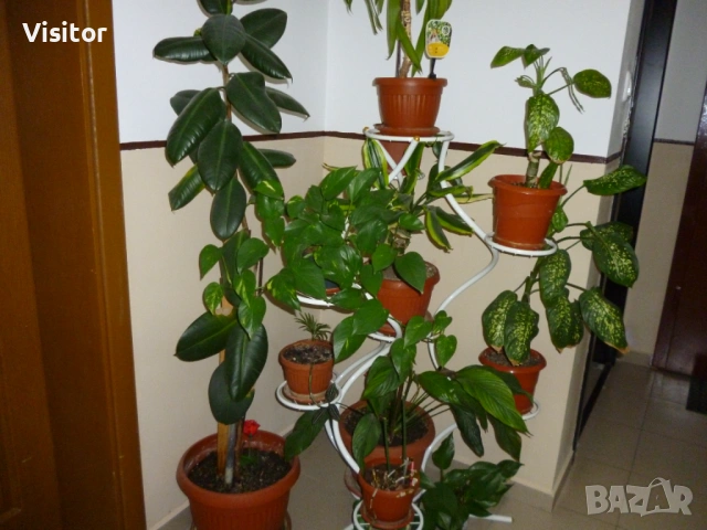 Panasonic Lumix DMC-FS18 16 MPx, снимка 12 - Фотоапарати - 54223188