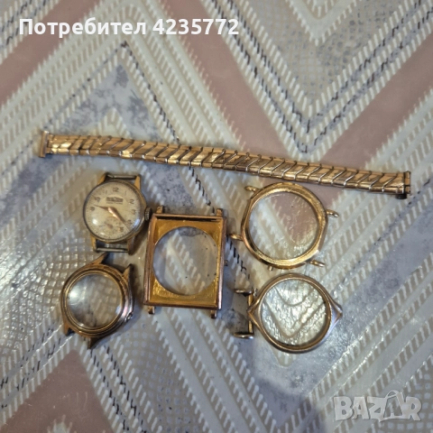 Швейцарски за скраб 