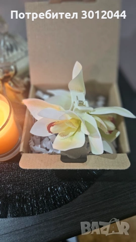 Шнола, снимка 5 - Аксесоари за коса - 53919129