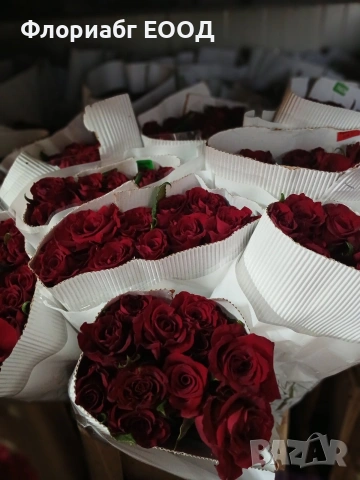 Рязан цвят рози и гипсофила