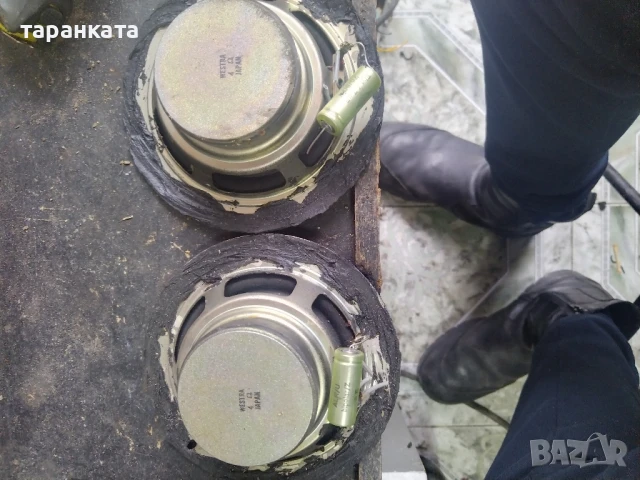 широко лентови говорители Westra , снимка 2 - Тонколони - 50749616