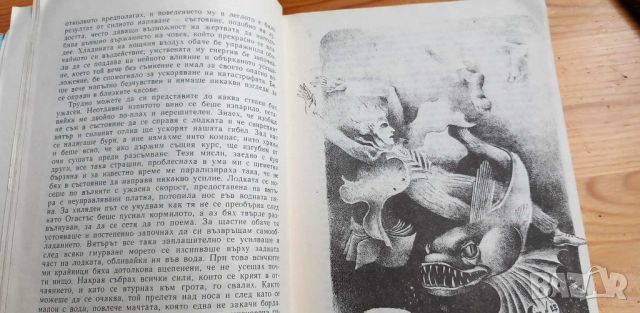 Историята на Артър Гордън Пим - Едгар Алан По, снимка 5 - Детски книжки - 46608134