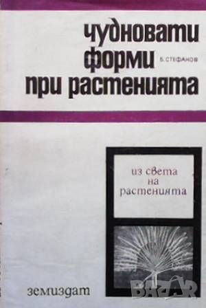 Чудновати форми при растенията, снимка 1 - Други - 46603713