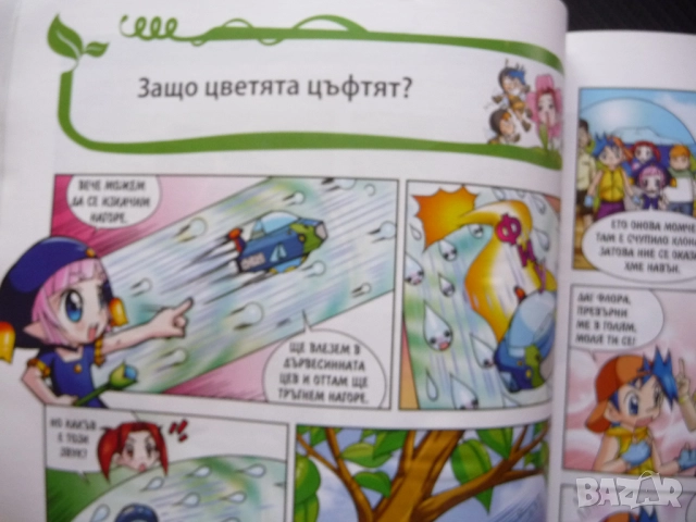Защо? Растенията комикс забавно запознаване децата със света дървета храсти цветя водорасли билки фл, снимка 4 - Детски книжки - 52637759