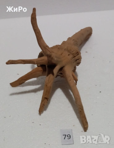 Корен от Азалия /декорация/ 79