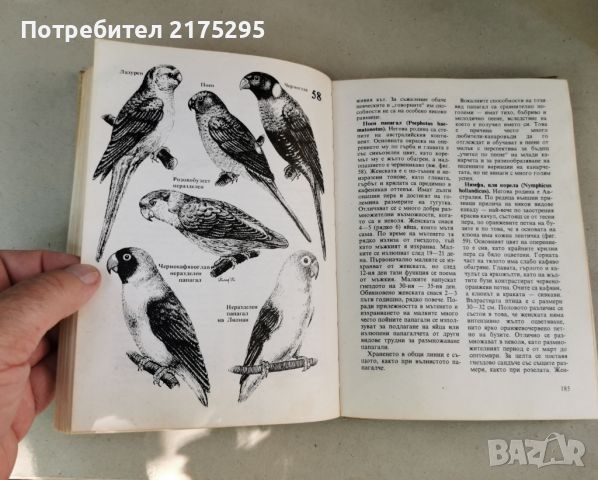 Домашна зоология-изд. 1983г., снимка 18 - Други стоки за животни - 46627125