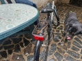 Дамско колело, снимка 6