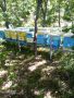 Продавам 30 кошера с пчели с 2 метални платформи., снимка 2