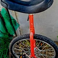 Велосипед едноколесен Fishbone Sport - червено, снимка 4 - Велосипеди - 45544014
