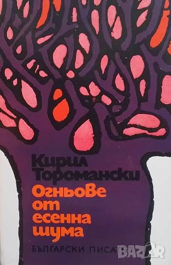 Огньове от есенна шума Кирил Торомански, снимка 1