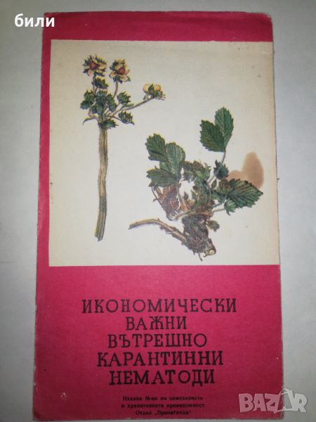 ИКОНОМИЧЕСКИ ВАЖНИ ВЪТРЕШНО КАРАНТИННИ НЕМАТОДИ , снимка 1