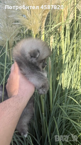 момче, снимка 1