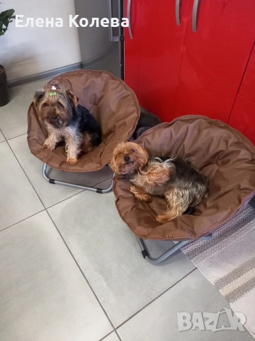 шезлонг за кучета , снимка 2 - За кучета - 53891670