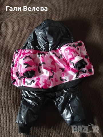 Дрехи за малко куче , снимка 6 - Пинчер - 52636678