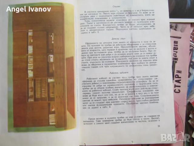 Боядисай сам - книга за любители бояджии, снимка 2 - Енциклопедии, справочници - 46847562