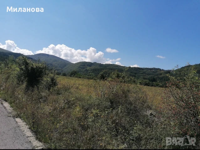 Продавам земеделска земя с.Гюешево., снимка 12 - Земеделска земя - 50913537