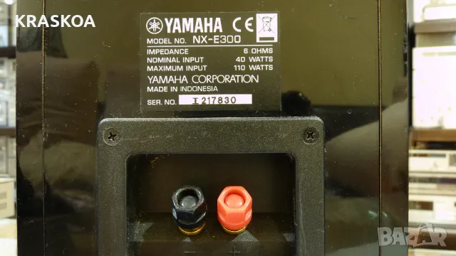 YAMAHA NX-E300, снимка 5 - Тонколони - 48578241